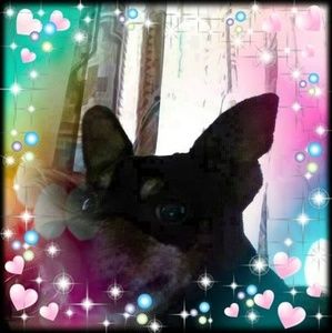 Meet your Posher, Elaine